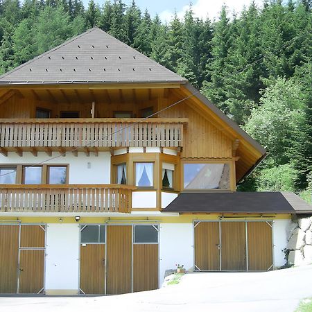 Villa Hinterhauensteinhof à Hornberg Extérieur photo